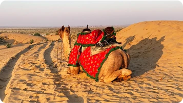 Traveler story by Raj & Priya